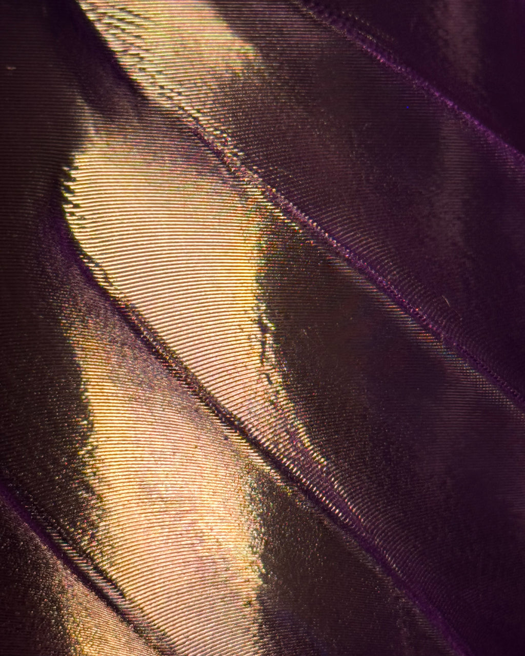 SHADE001 - Modern Spiral